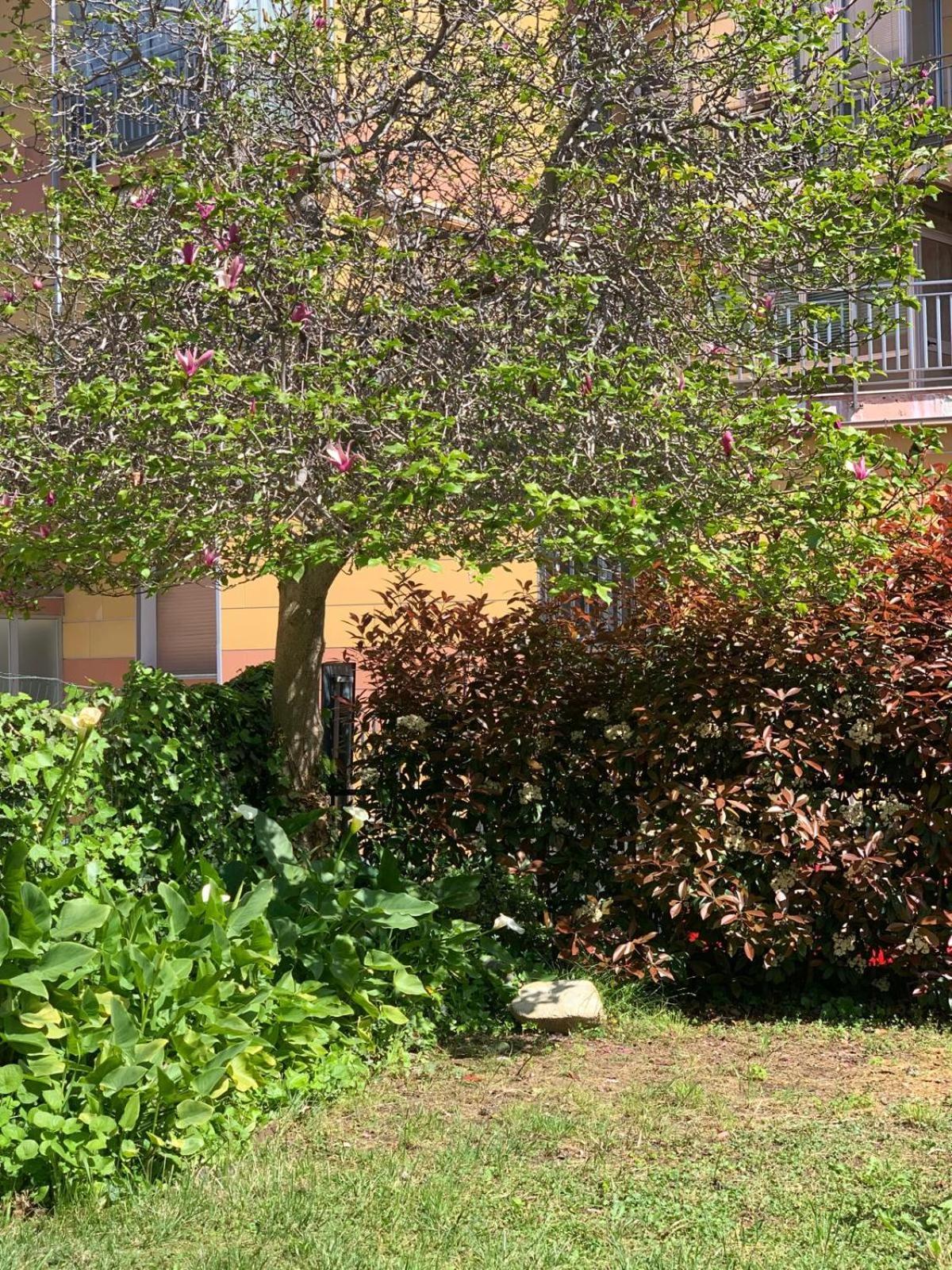 סאבונה B&B La Magnolia מראה חיצוני תמונה